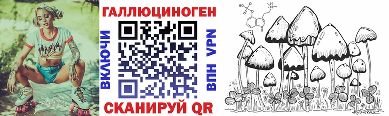 купить  цена  Кадников  Псилоцибиновые грибы Magic Shrooms 